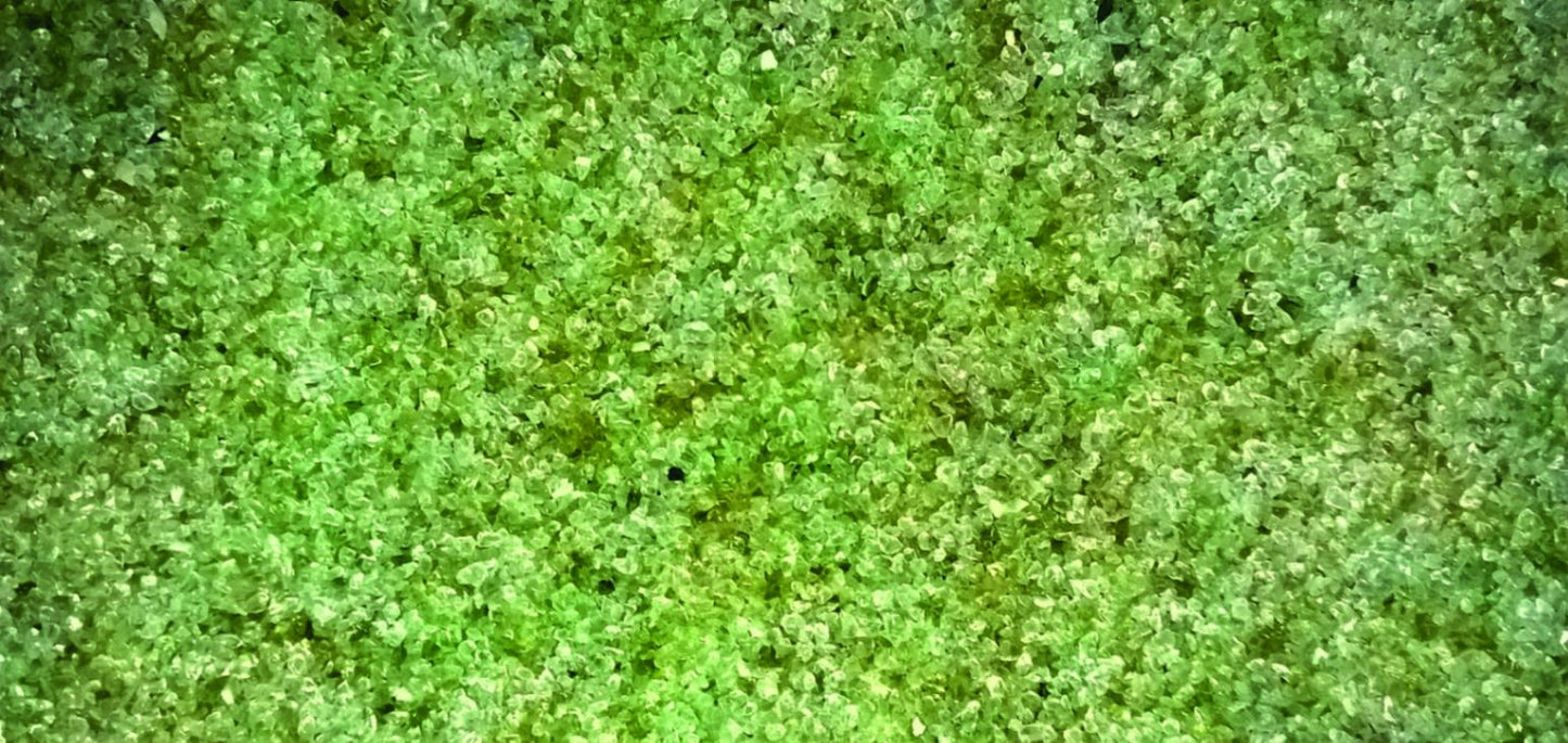 Filterglas