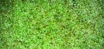 Filterglas